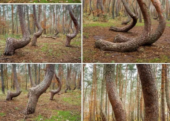 Hostelik Przy Przystanku *